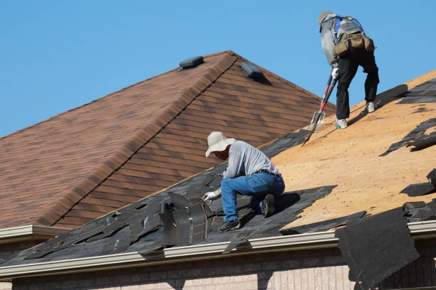 Best Roof Maintenance and Cleaning  in Morris, IL